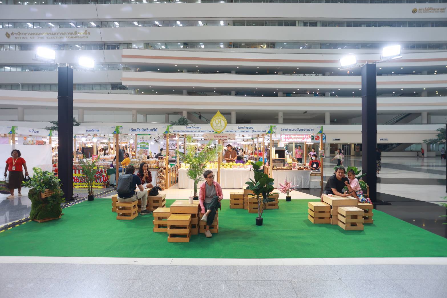 IMAGE - 3892