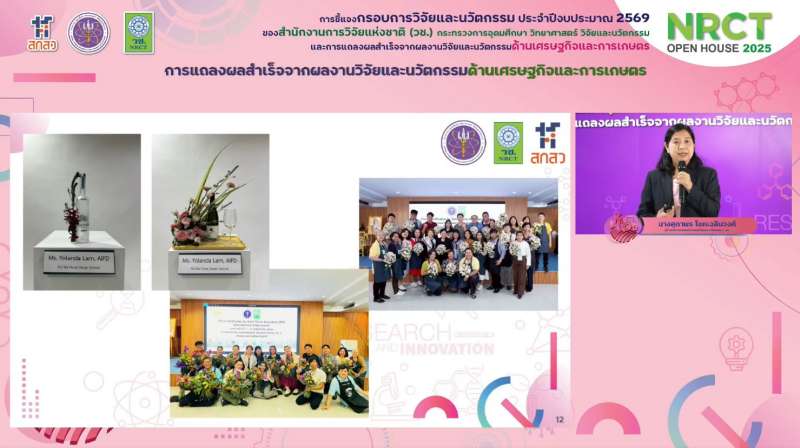 IMAGE - 4393
