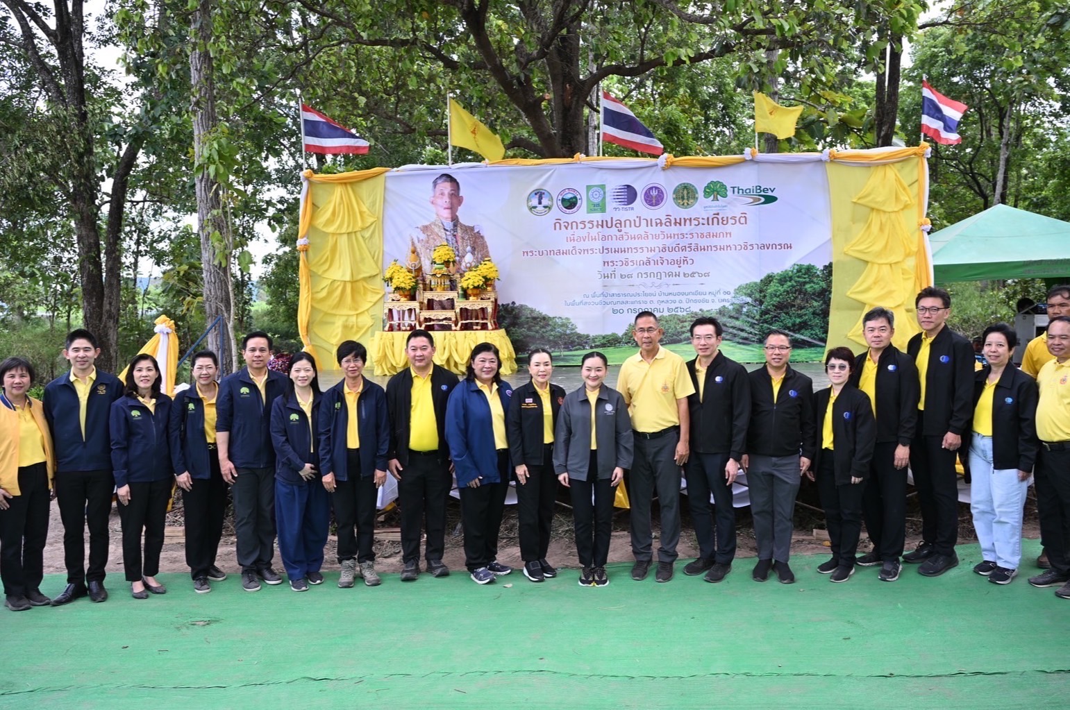 IMAGE - 4696